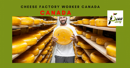 Cheese Factory Worker Canada - Dairy products processing