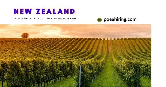 Farm Worker Needed for New Zealand (Winery & Viticulture)