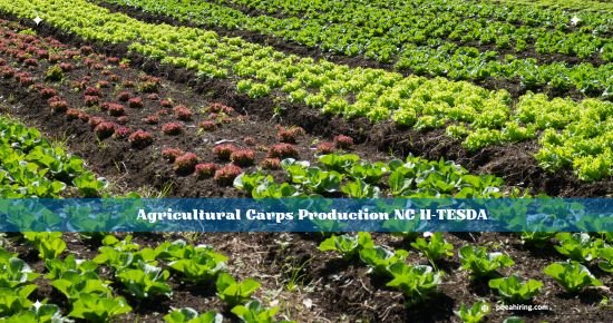 Invitations by "TESDA" the Philippines to enroll in  "Agricultural Crops Production NC II" for increasing your knowledge about Agricultural.