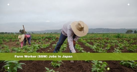 Chartreuse Prime Recruitment Specialist" is looking for bright and experienced Filipino candidates for the post of Farm Worker (SSW)