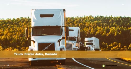 Truck Driver Position
Posted on: November 6, 2024
Company: JEET Transport Ltd.