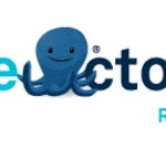 Blue Octopus Recruitment Limited