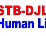 STB-DJL HUMAN LINK INC.