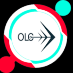 ONE LEAD CONNECT INTERNATIONAL RECRUITMENT AGENCY INC